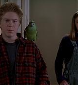 HomeAlone3DVD_064.jpg