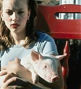 MyBrotherthePig-Stills_003.jpg